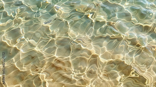 The water is calm and clear, with ripples reflecting the sunlight