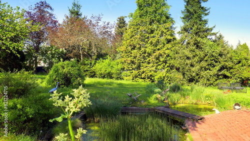 natürlicher Teich in grünem Garten an roter Terrasse angrenzend mit schöner Holzbrücke im Frühling