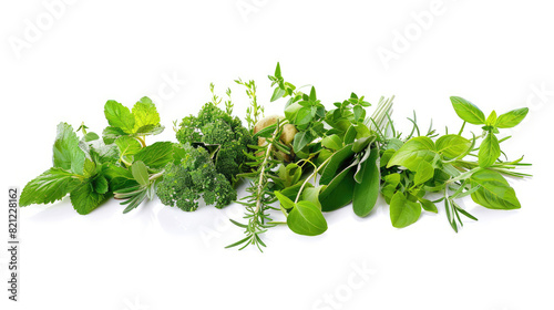 Assorted fresh culinary herbs isolated on a white background, ideal for food seasoning and herbal medicine concepts