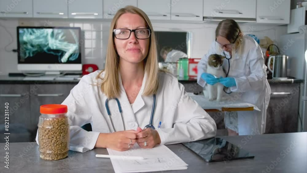 Pretty vet doctor looking at camera, advises and writes checks to the pet owner while sitting at table against backdrop of an assistant listening to lungs of a domestic cat. Pretty vet doctor looking at camera, advises and writes checks to the pet owner while sitting at table against backdrop of an assistant listening to lungs of a domestic cat.