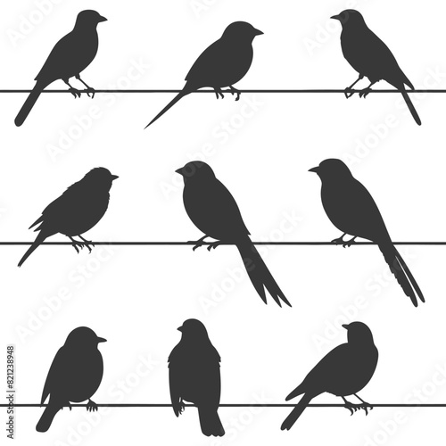 Wallpaper Mural Silhouette birds on wire black color only Torontodigital.ca