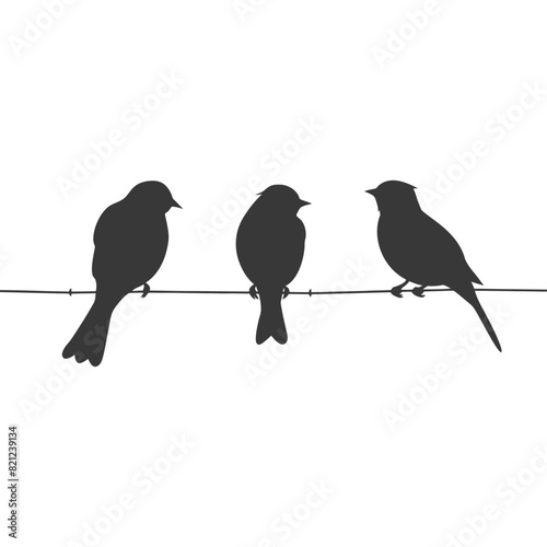 Silhouette birds on wire black color only