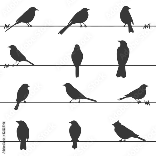 Silhouette birds on wire black color only