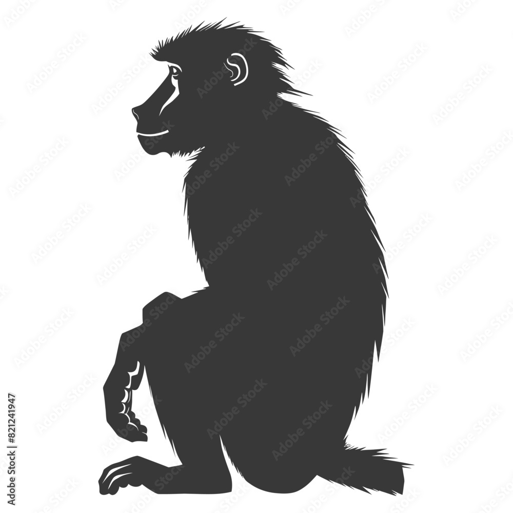 Silhouette Baboon animal black color only Silhouette Baboon animal black color only