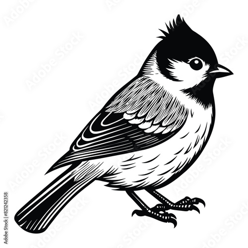 a cute titmouse vector silhouette illustration