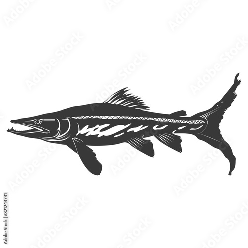 Silhouette Barracuda animal black color only