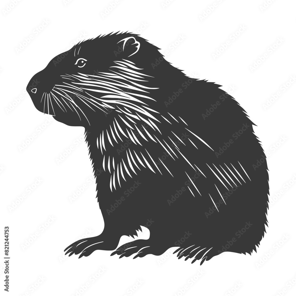 Silhouette beaver animal black color only Silhouette beaver animal black color only