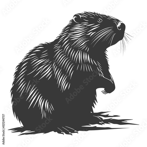 Silhouette beaver animal black color only