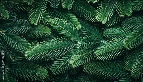 decorative seamless christmas pattern or frame with green coniferous branches