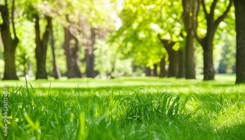 fresh green grass background in sunny summer day in park