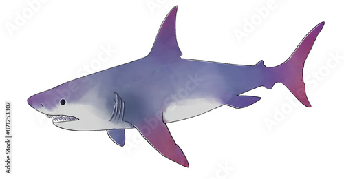 Photography Shark drawing