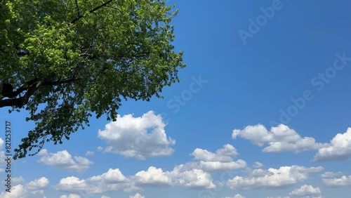 Blue sky, white clouds and tree leaves. Wind blowing through the trees. This video is intended for relaxation, stress relief, calming one's mind. photo