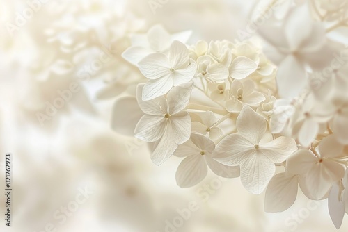 White hydrangea flowers in the background, with a soft blurred white background in a macro closeup photography style Generative AI