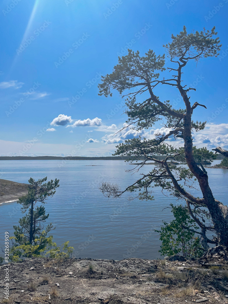 View of Ladoga Lake with Rocky Shores and Pine Trees on a Clear Summer Day. Vertical Shoot View of Ladoga Lake with Rocky Shores and Pine Trees on a Clear Summer Day. Vertical Shoot