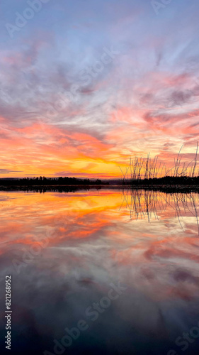 Stunning Sunset over Ladoga Lake with Reflections and Reeds. Vertical Shoot  photo