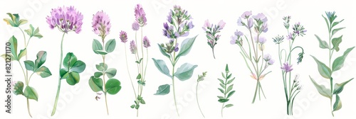 Watercolor Floral Elements for Nature-Inspired Designs Generative AI photo