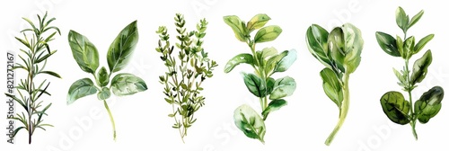 Fresh Herbs Collection for Healthy Recipes Generative AI