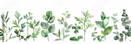 Watercolor Herb Illustration for Decoration and Design Generative AI