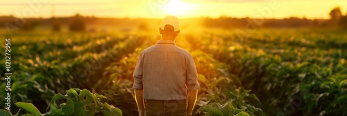 A solitary farmer observes a vast tobacco field during a serene sunset, contemplating agricultural life