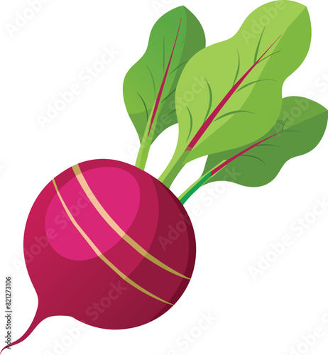 beetroot with leaves logo, Radish icon,  beet logo design vector illustration