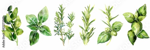 Fresh Herbs in Watercolor Style for Cooking and Wellness Generative AI