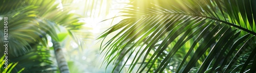 Sunlight filtering through palm tree leaves, creating a serene and vibrant tropical atmosphere with green foliage and natural light.