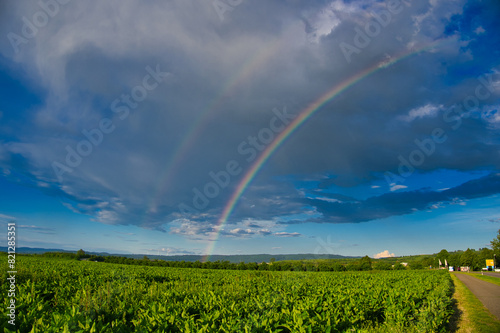 Regenbogen in der Ortenau bei Ettenheim