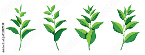 Set of beautiful green tea leaves in cartoon style. Vector illustration of fresh tea leaves of different sizes and shapes isolated on a white background. Chinese tea. Medicinal, healthy drink.