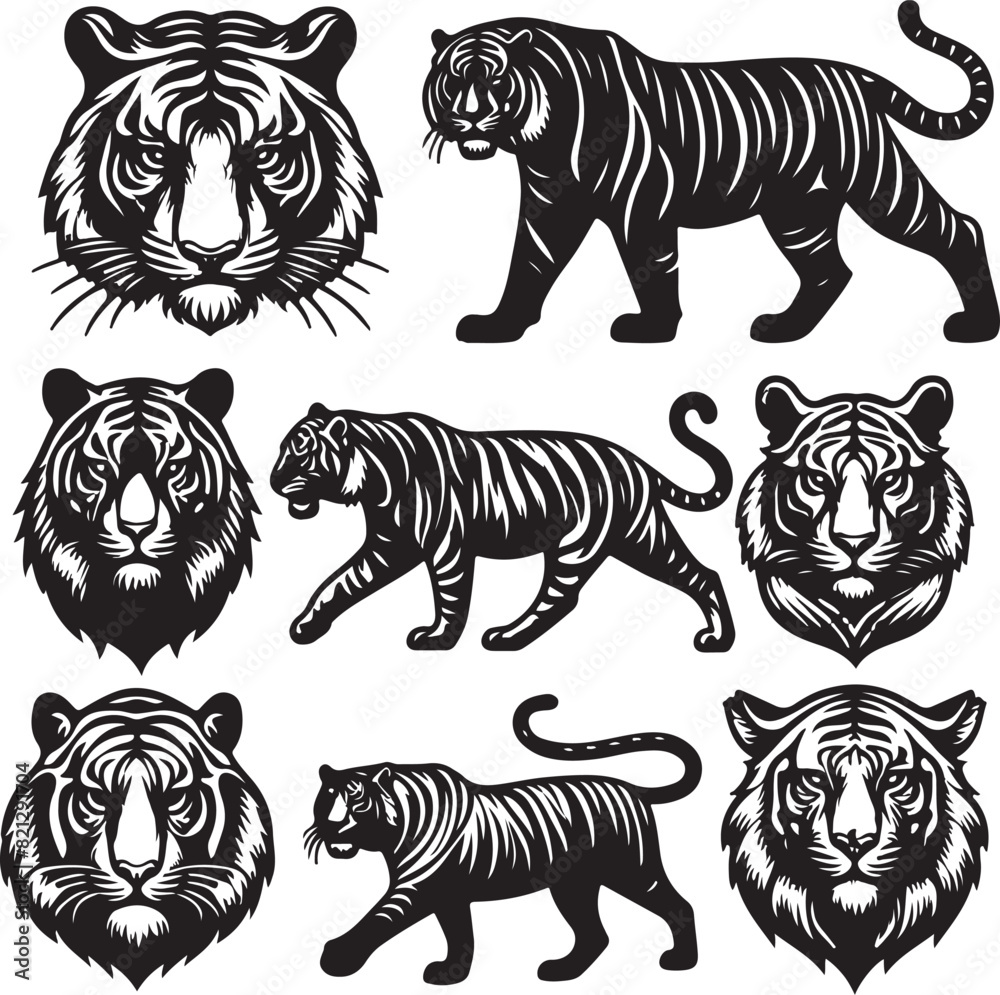 Obraz premium tiger bundle vector