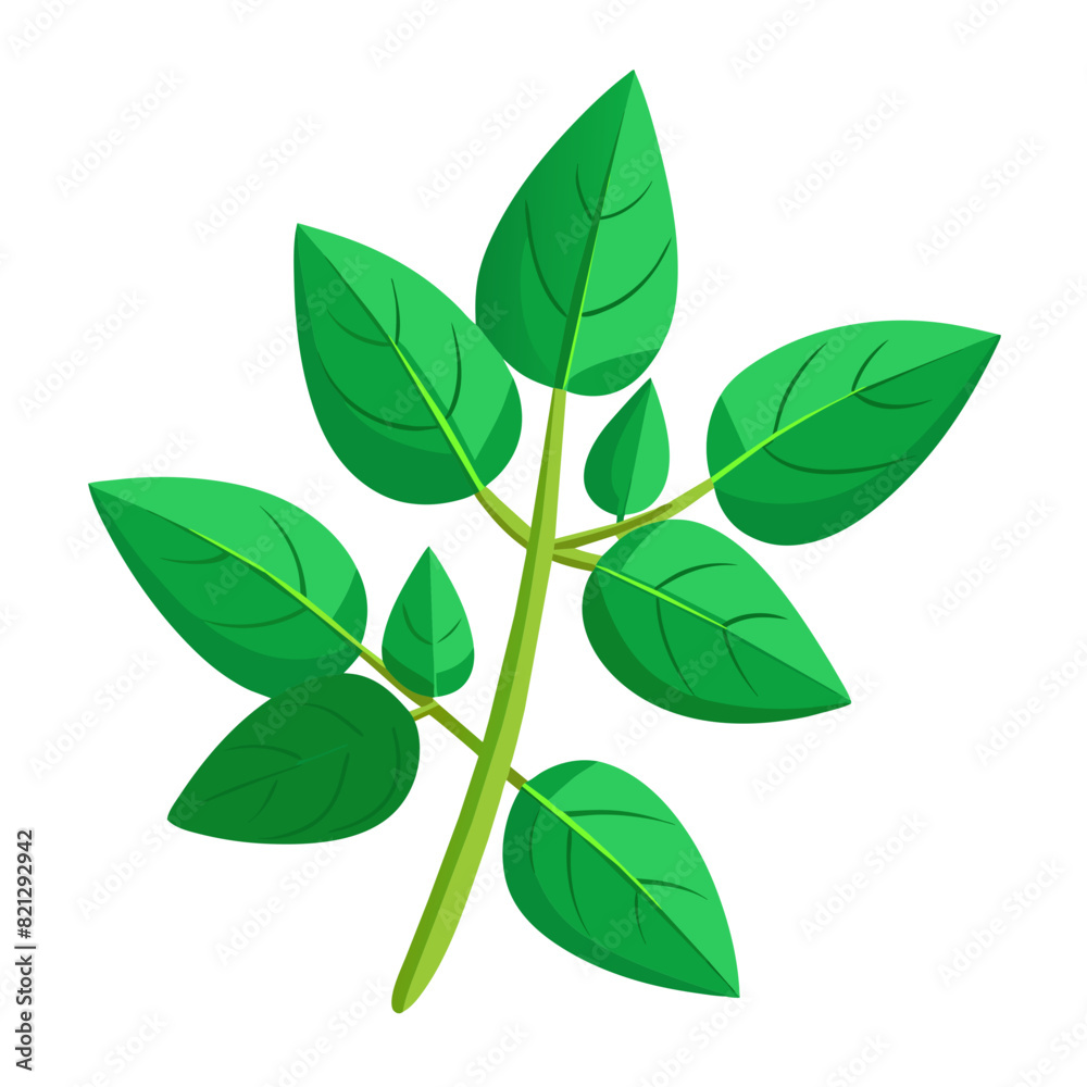 Naklejka premium vector illustration of an oregano leaf, perfect for designs related to cooking and wellness