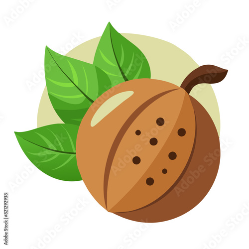 vector illustration of a nutmeg seed, perfect for designs related to cooking, baking, and culinary themes