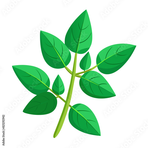vector illustration of an oregano leaf, perfect for designs related to cooking and wellness