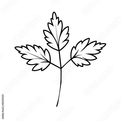 Vector Illustration of Lovage Herb -  recipes, herbal medicine guides, or botanical-themed designs