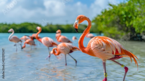 High-resolution photo  flamingos in the wild on bonaire s coastal lagoons  detailed capture of the birds in their natural habitat  soft natural light  generated with ai