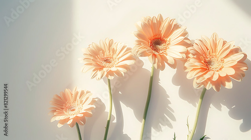 Flowers abstract floral background