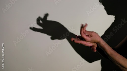 Captivating shadow puppetry hand gestures performance photo