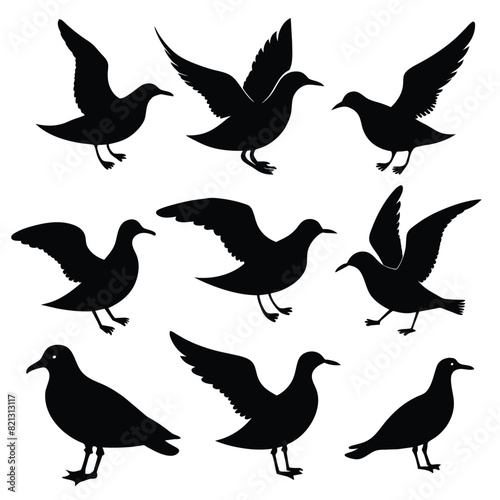 Set of Seagull animal Silhouette Vector on a white background