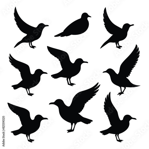 Set of Seagull animal Silhouette Vector on a white background