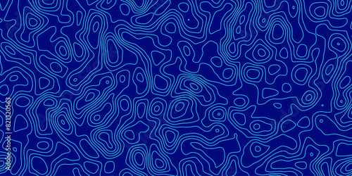 Photos Monochrome Map-Inspired Pattern with Flowing Line Work