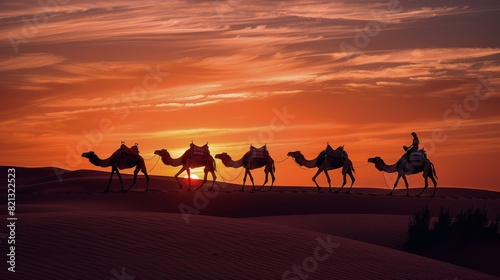 Group of People Riding on the Backs of Camels