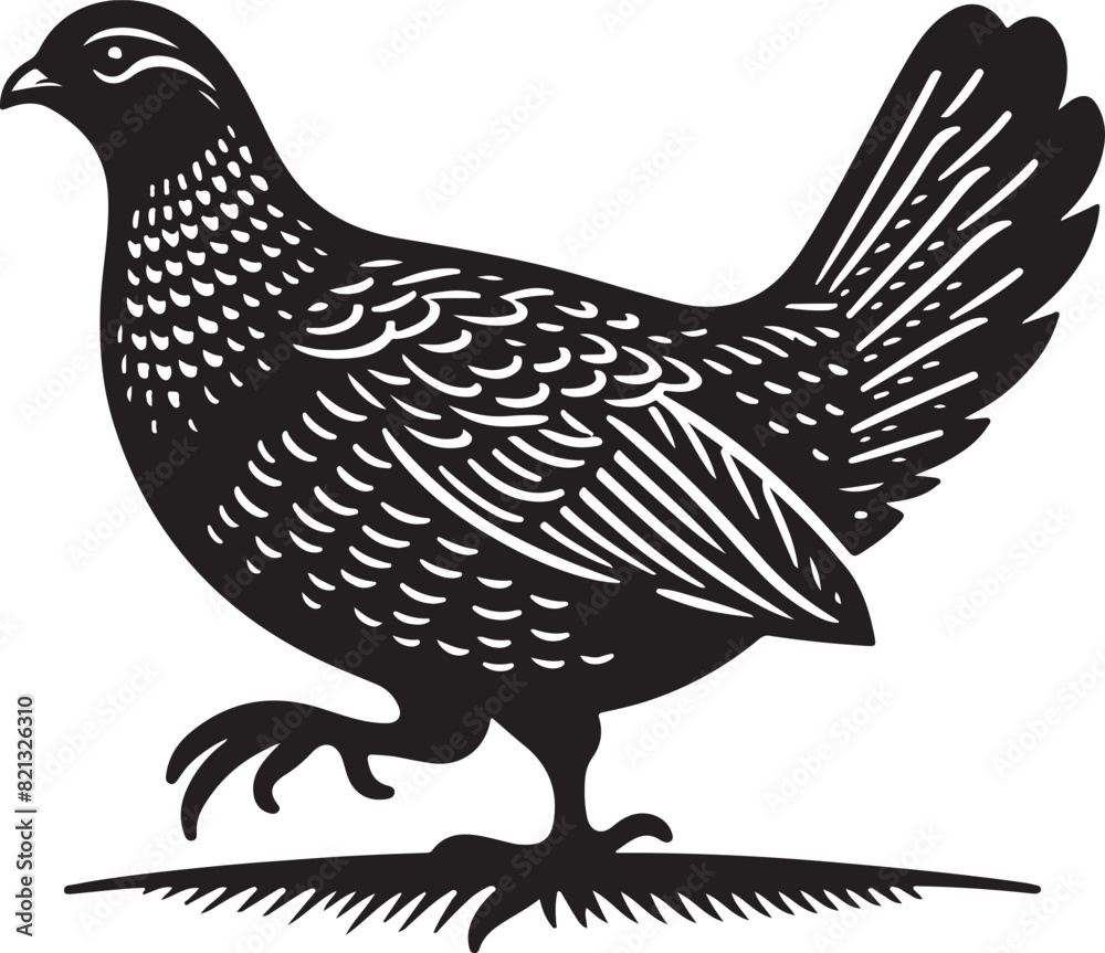 Obraz premium grouse Vector Illustration