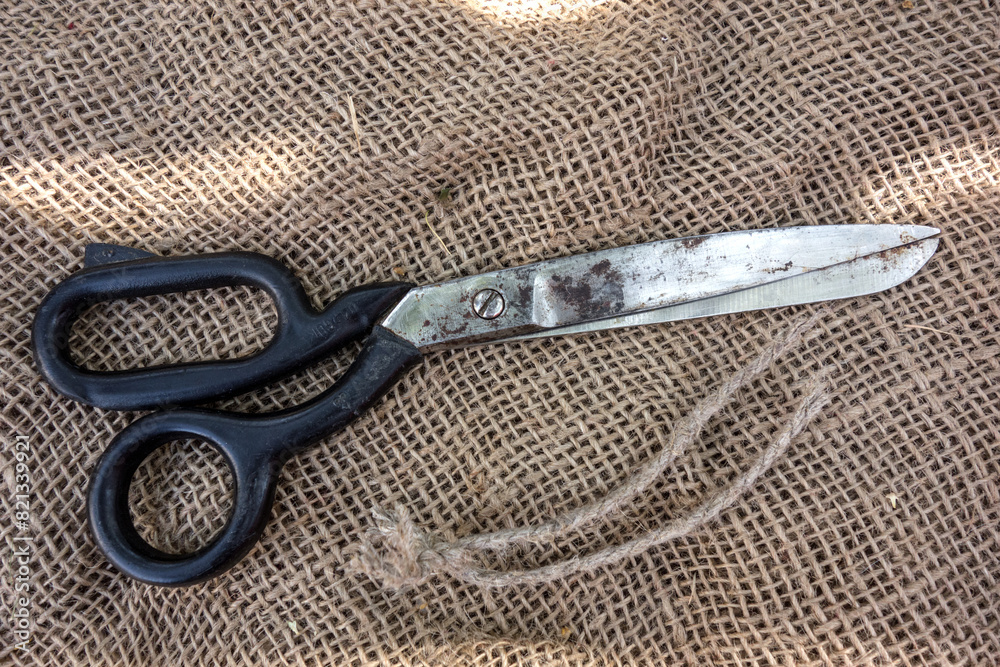 Obraz premium Large vintage sartorial scissors on a background of rough burlap
