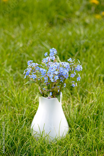 Forget-me-not flowers on green grass