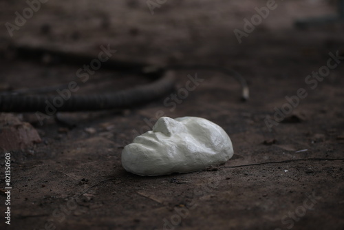 Принти на полотні view of an abandoned mask among the garbage