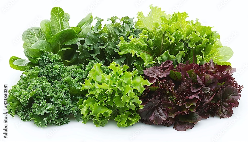 Obraz premium A variety of salad greens including romaine, iceberg, kale, and radicchio.