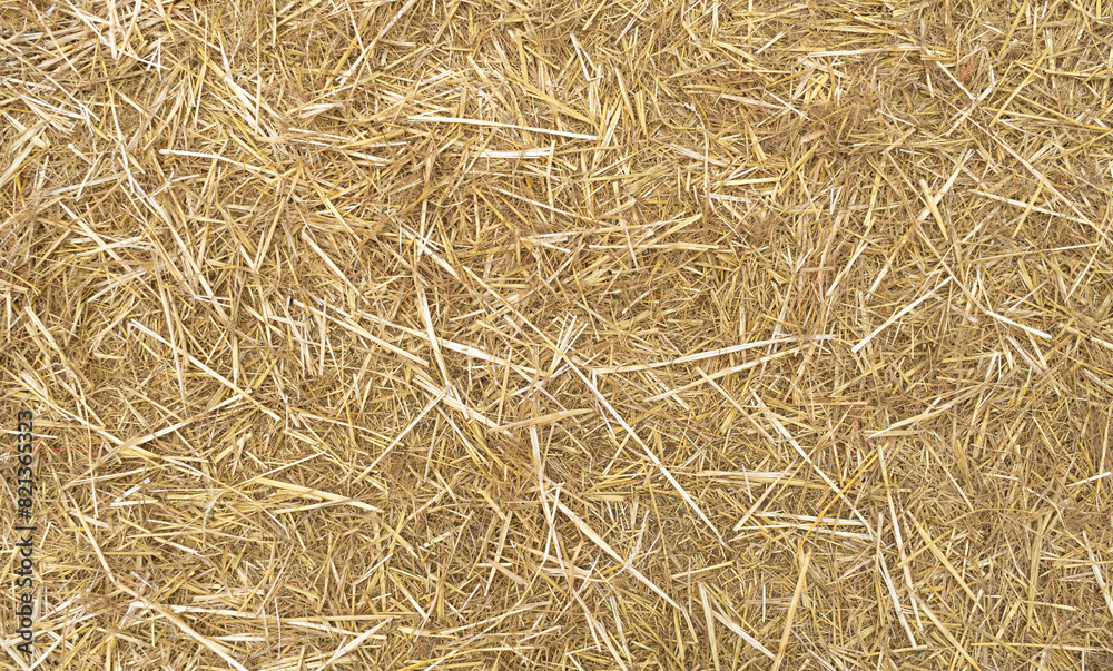 Hay Texture Background, Straw Pattern, Dry Golden Grass Mockup, Dry Baled Hay Bales Stacks Banner