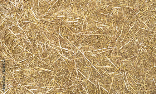 Obraz na płótnie Hay Texture Background, Straw Pattern, Dry Golden Grass Mockup, Dry Baled Hay Bales Stacks Banner w salonie