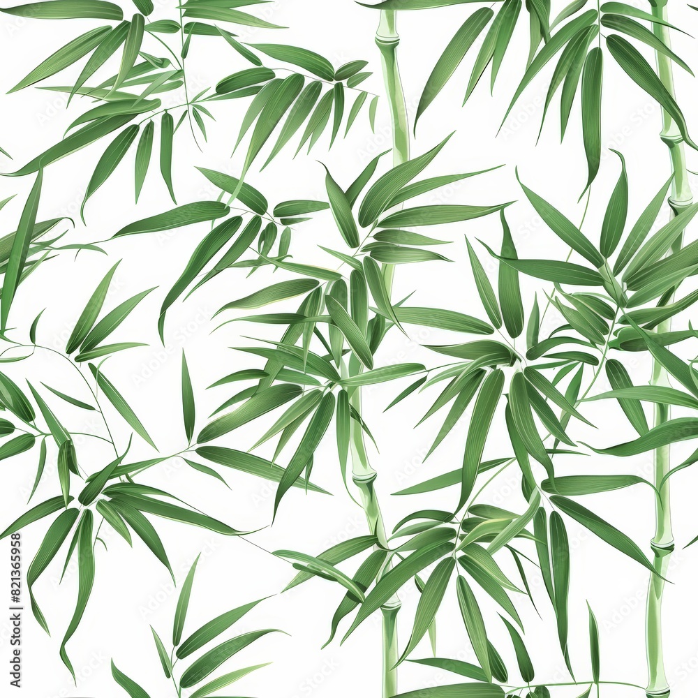 Fototapeta premium A green bamboo plant with leaves is shown in a white background