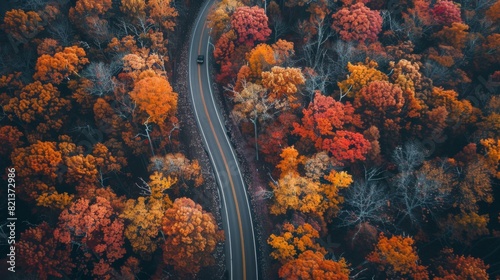 Aerial shot of a lonely road winding through vibrant autumn trees --ar 16:9 Job ID: 9124318b-4956-40c9-a41b-69fa988704b7 © Preb Creations