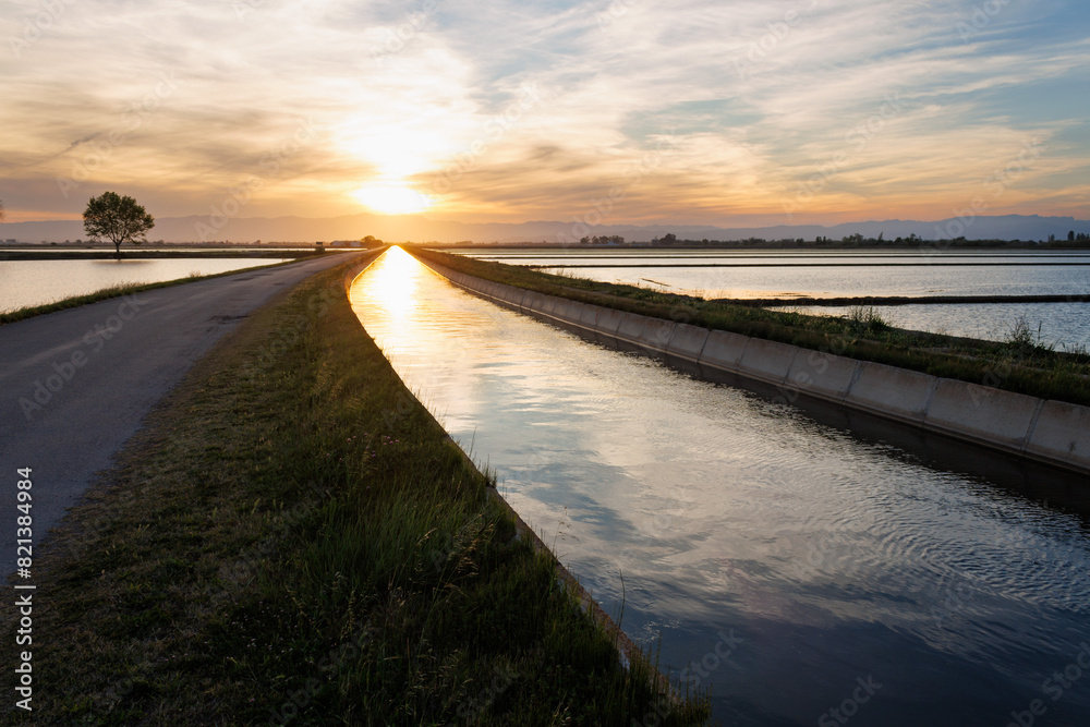 Puesta de sol sobre el canal de la derecha del Ebro junto a plantaciones de arroz, España